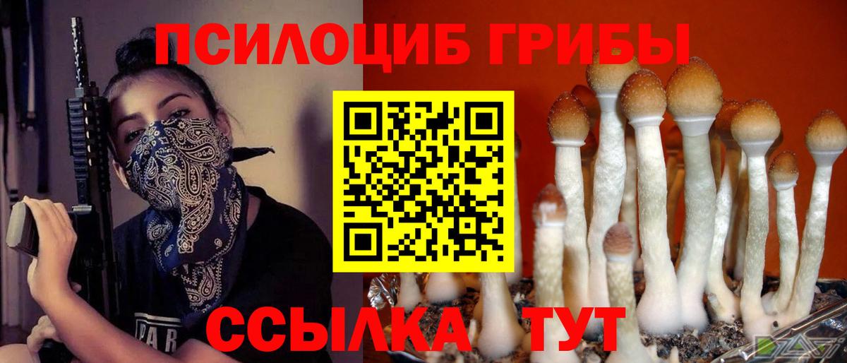 Галлюциногенные грибы Magic Shrooms Луховицы