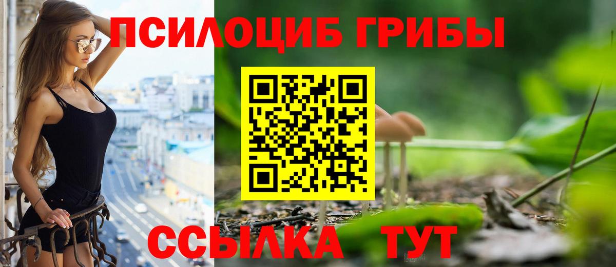 Луховицы  Галлюциногенные грибы MAGIC MUSHROOMS  Вход с VPN 